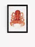 EAST END PRINTS Naturkundemuseum „Oktopus“ Gerahmter Druck