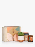 Das kleine botanische Detox-Geschenkset