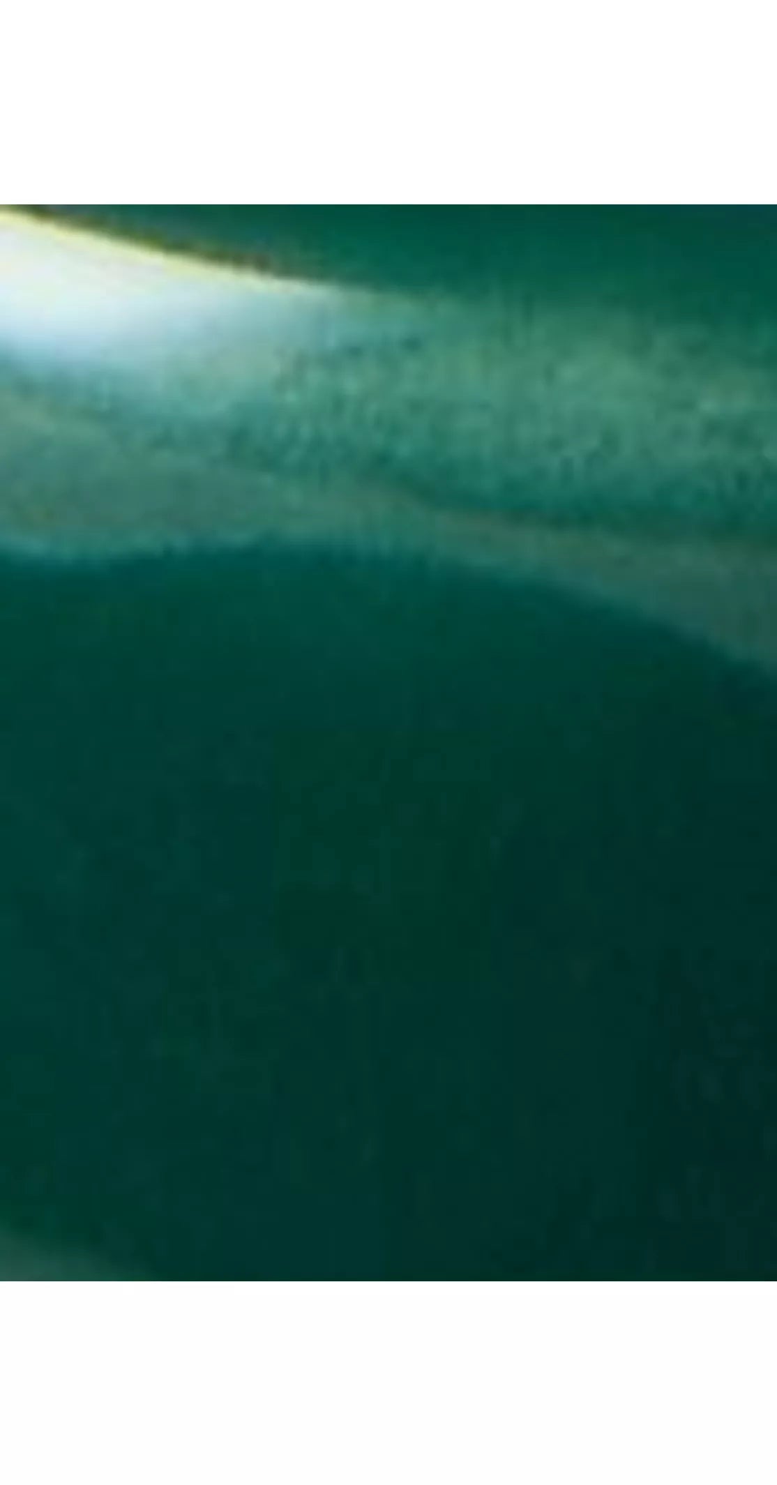 John Lewis X Collagerie Scallop Candle Holder - McGrocer