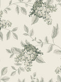 Laura Ashley Portland Tapete Fern 127393