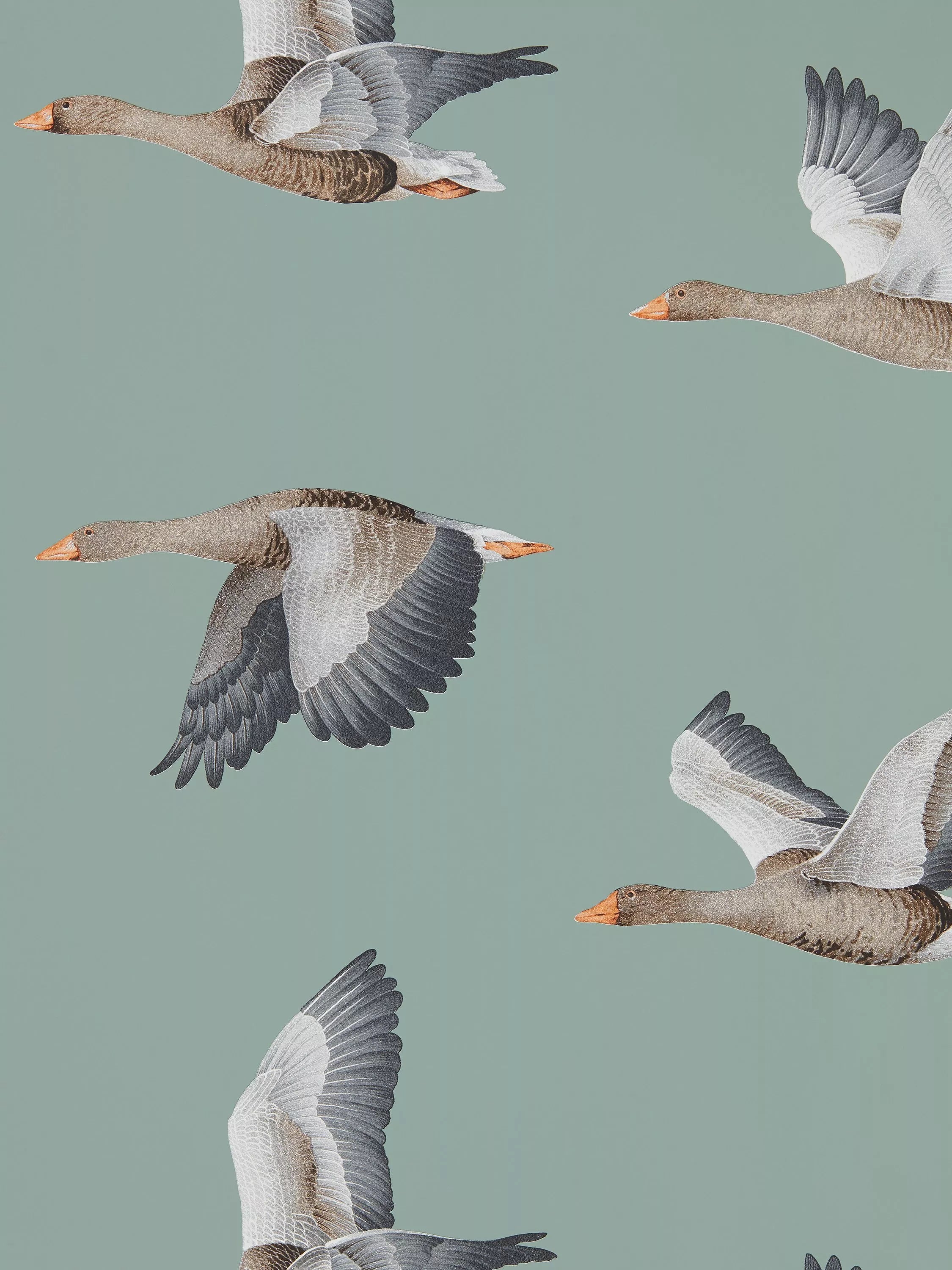 Sanderson Elysian Geese Wallpaper - McGrocer