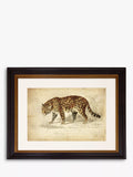 Brookpace Lascelles „Jaguar“, gerahmter Druck mit Passepartout, 46 x 55 cm, Braun