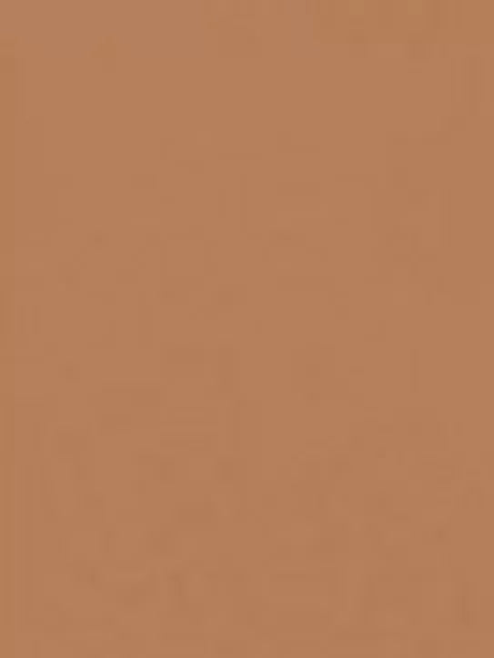 Clarins Everlasting Youth Fluid Foundation SPF 15 - McGrocer