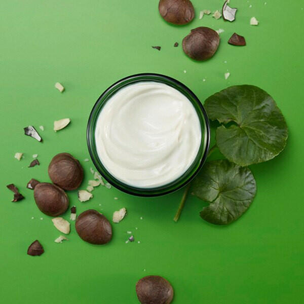 Weleda Skin Food Night Cream - 40Ml GOODS Superdrug