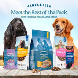 James Ella Freeze Dried Raw Beef Dog Topper