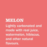 Gin Juice Melon Can
