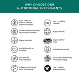 Together Health Turmeric Curcumin Supplement