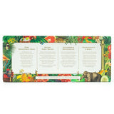 Double Dutch Discovery Pack