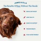 James Ella Freeze Dried Raw Beef Dog Topper