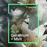 INEOS Skin Science Geranium Mint Handwash