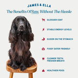James Ella Kibble Freeze Dried Raw Beef Dog Food