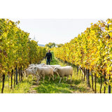 Terra Organica Parcel Series No 2 Gruner Veltliner