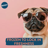 BOOST Pet Fish Supper Meal for Dogs