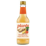 Plants Ginger and Mint Kombucha