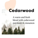 Wilton London Eco Fabric Conditioner Cedarwood 1L GOODS M&S