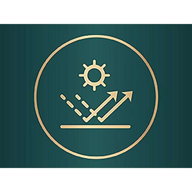 Wella Silvikrin Maximum Hold Hairspray 75ml GOODS M&S