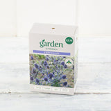 Sainsburys Garten-Eryngium x3