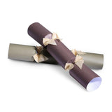 Sainsburys Home Moderne gerippte Luxus-Weihnachtsknaller, 6er-Pack