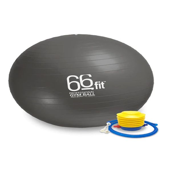 66fit Exercise Balls 60cm - Silver - McGrocer