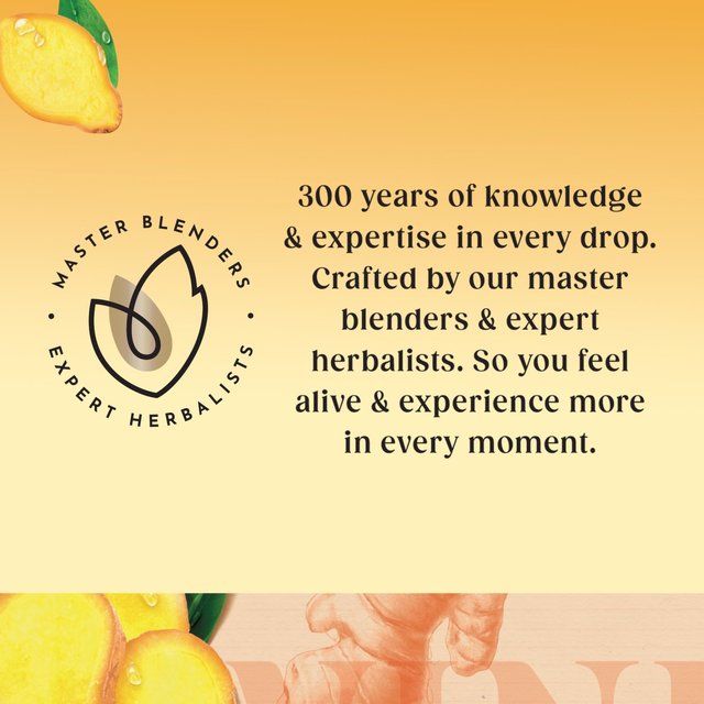 Twinings Spiced Ginger Tea 20 per pack GOODS M&S