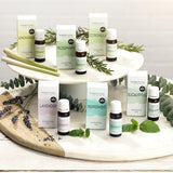 Superdrug Habitual Pure Citronella Essential Oil 10ml GOODS Superdrug