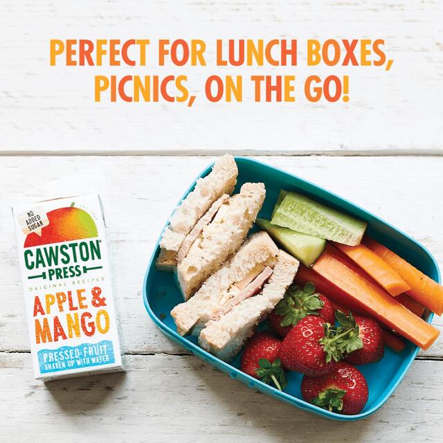 Cawston Press Kids Blend Apple & Mango Juice 3 x 200ml - McGrocer