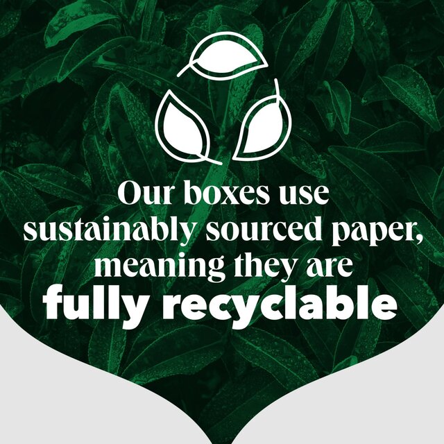 PG Tips Original Biodegradable Tea Bags 160 per pack - McGrocer