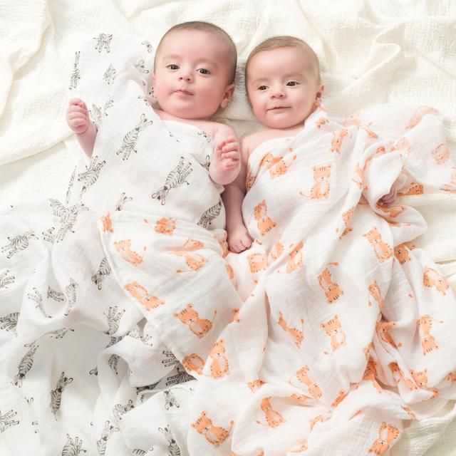 Aden + Anais Muslin Swaddles Safari Babes 4 per pack - McGrocer