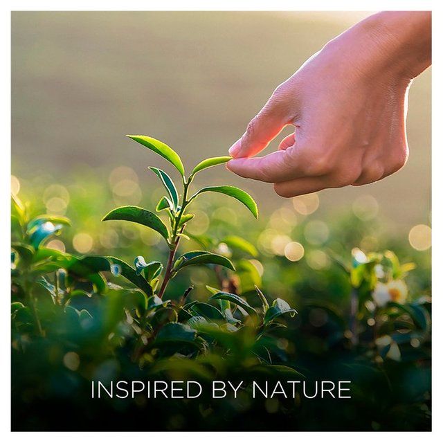 Airwick Botanica Candle Island Rose & African Geranium 205g - McGrocer