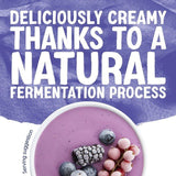 Alpro Raspberry-Cranberry & Blackberry Yoghurt Alternative 4 x 125g - McGrocer