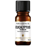 Amphora Aromatics Eucalyptus Essential Oil 10ml - McGrocer