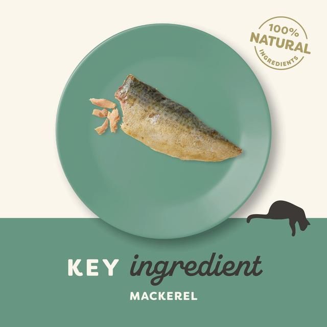 Applaws Cat Mackerel Loin 30g - McGrocer