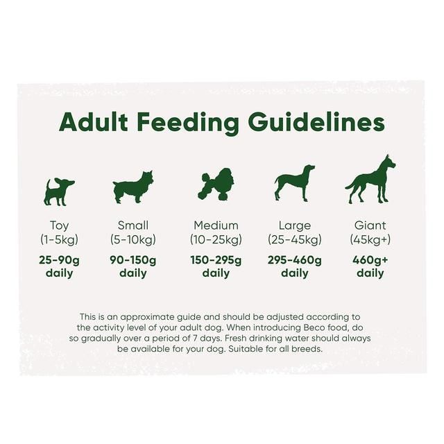 Beco Pets Eco Conscious Free Range Chicken Dry Dog Food 2kg - McGrocer