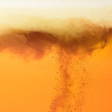 BrewDog Punk IPA 12 x 330ml