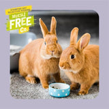 Burgess Excel Indoor Rabbit Nuggets 1.5kg