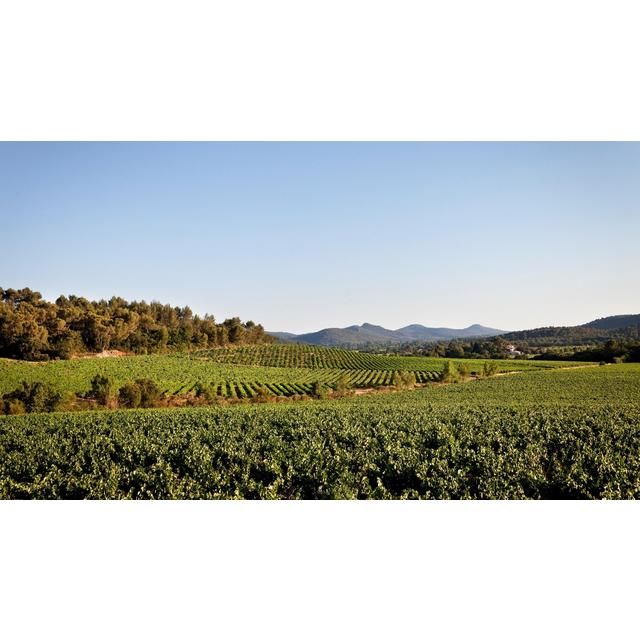 Chateau La Gordonne Organic Provence Rose 75cl