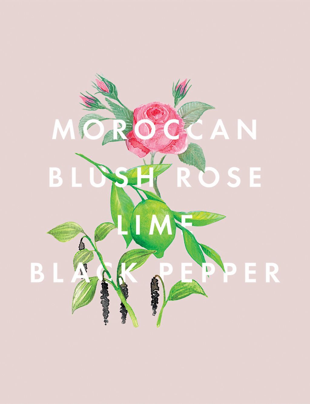 Complete Bliss Body & Hand Lotion 300ml