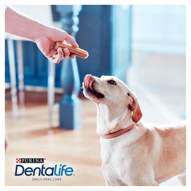 Dentalife Large Dental Chicken Dog Chews 12 per pack
