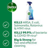 Dettol Antibacterial Limescale Bathroom Cleaner Spray 750ml