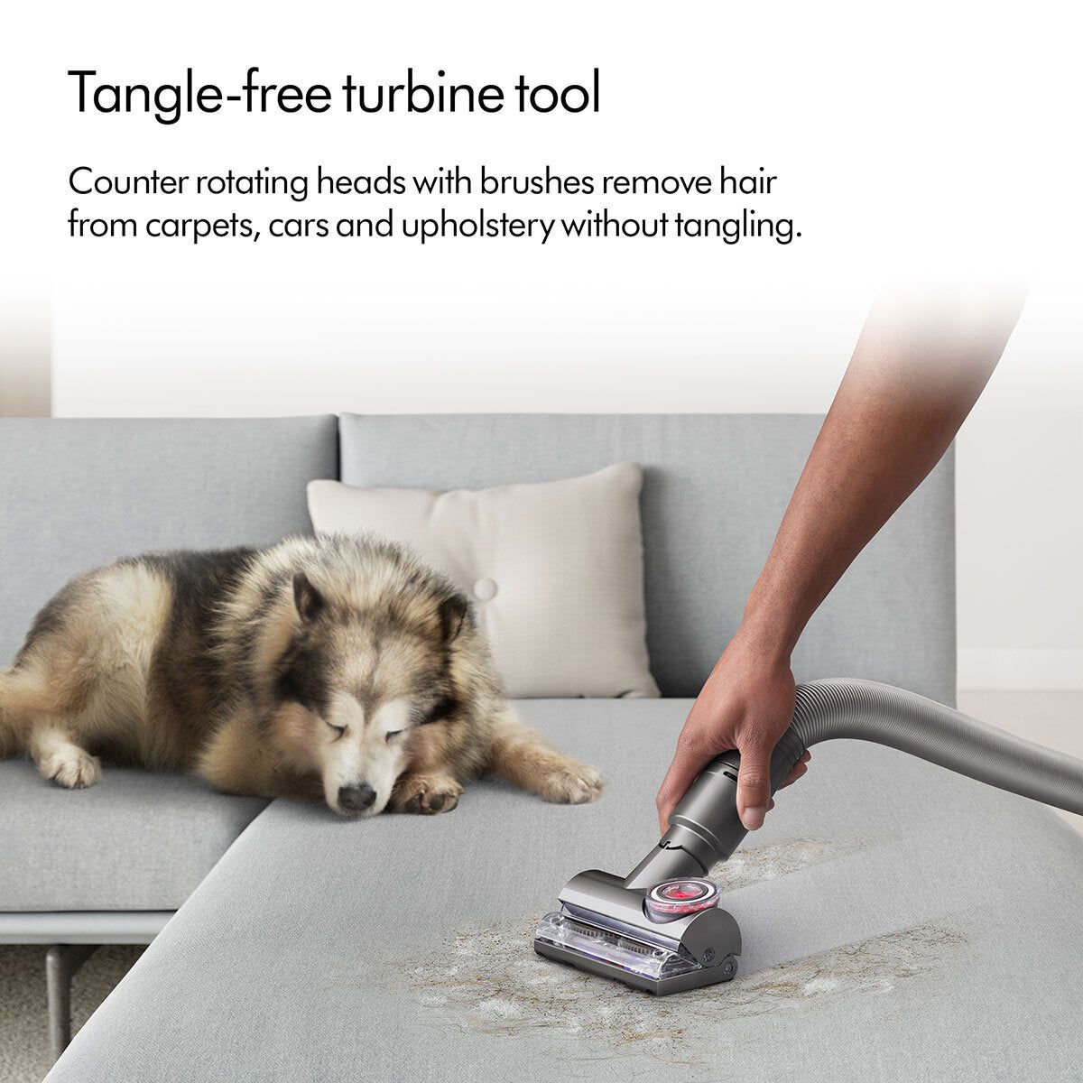 Dyson Ball™ Animal Upright Vacuum Cleaner with Whole Home Cleaning Kit, UP32