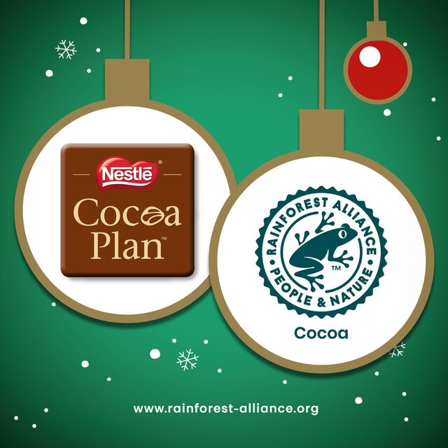 After Eight Mint Chocolate Thins Box 300g - McGrocer