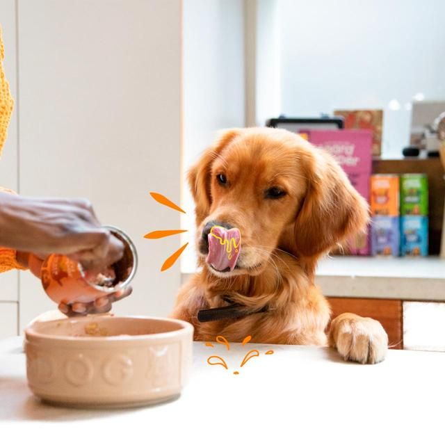 Edgard & Cooper Adult Grain Free Wet Dog Food with Chicken & Turkey 400g