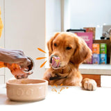 Edgard & Cooper Adult Grain Free Wet Dog Food with Chicken & Turkey 400g