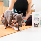 Edgard & Cooper Strawberry & Mint Small Dog Dental Sticks 7 per pack