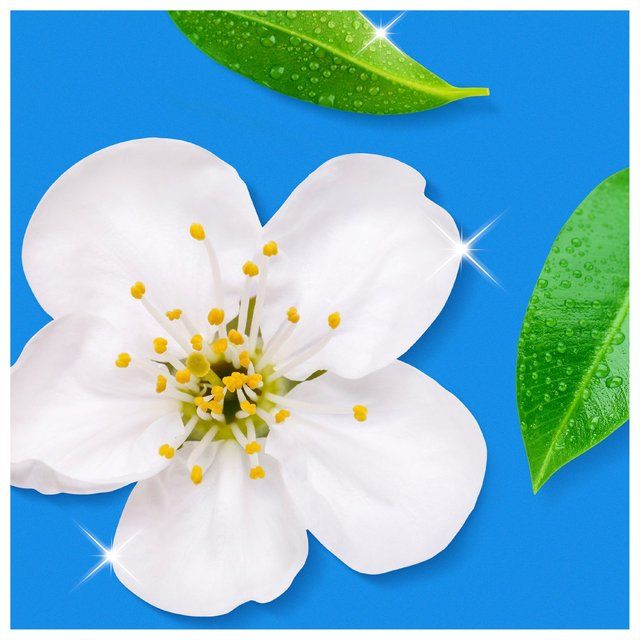 Flash Spray Wipe Done Bathroom Cleaning Spray Anti-Bacterial White Blossom 800ml