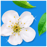 Flash Spray Wipe Done Bathroom Cleaning Spray Anti-Bacterial White Blossom 800ml