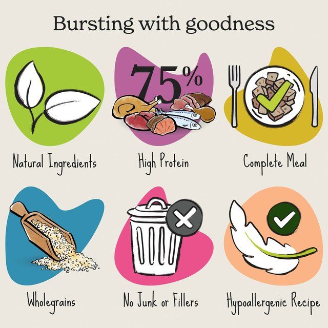 Forthglade Complete Adult Turkey with Brown Rice & Veg 395g