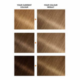 Garnier Belle Color 7 Natural Dark Blonde Permanent Hair Dye