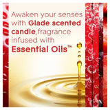 Glade Large Scented Candle Bubbly Berry Splash 224g
