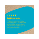 Good4U Protein Balls Salted Caramel 40g